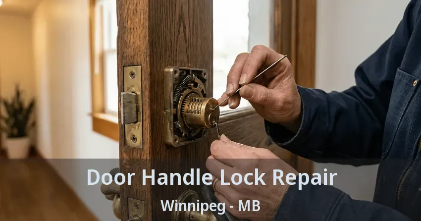 Door Handle Lock Repair Winnipeg - MB