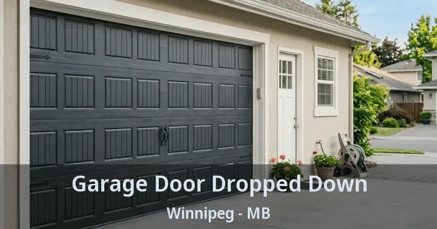 Garage Door Dropped Down Winnipeg - MB Garage Door Dropped Down Winnipeg - MB